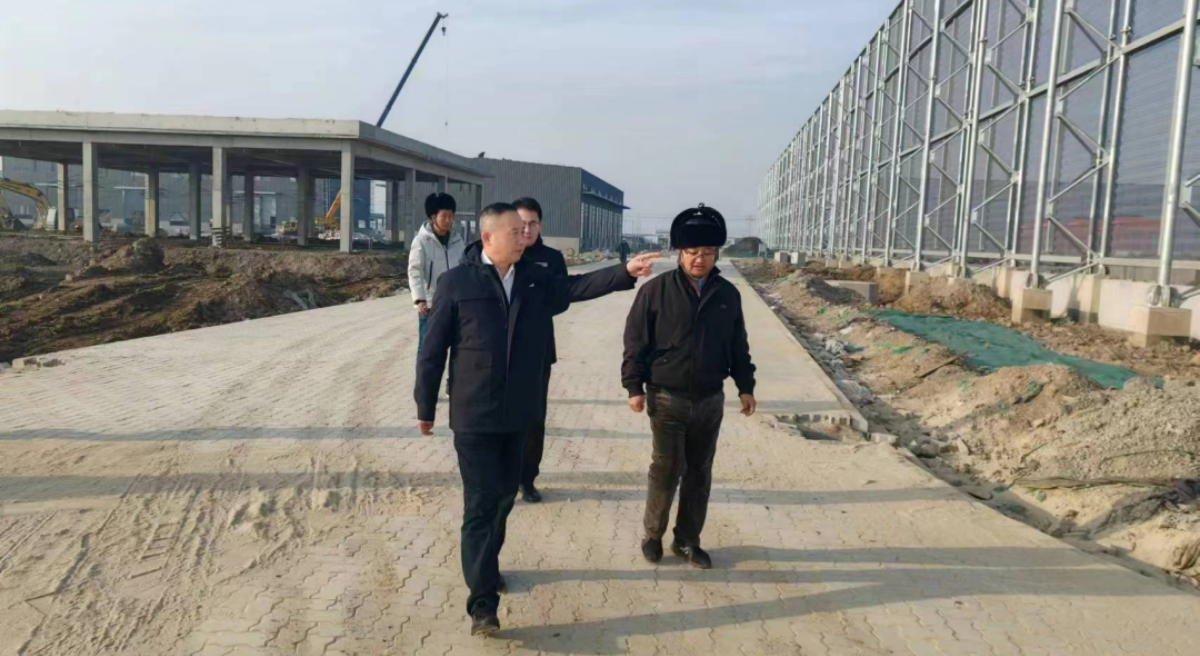 王宝辉董事长调研督导集疏运体系项目建设