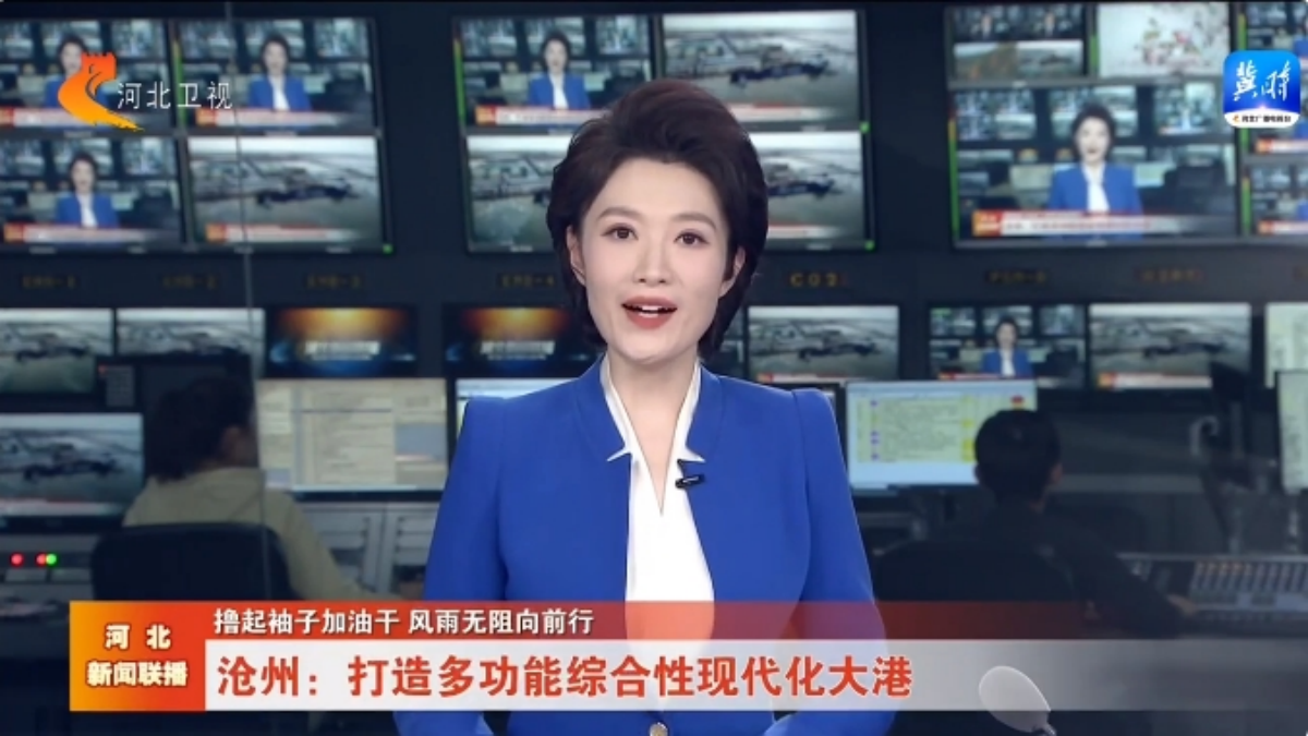 【撸起袖子加油干 风雨无阻向前行】沧州：打造多功能综合性现代化大港