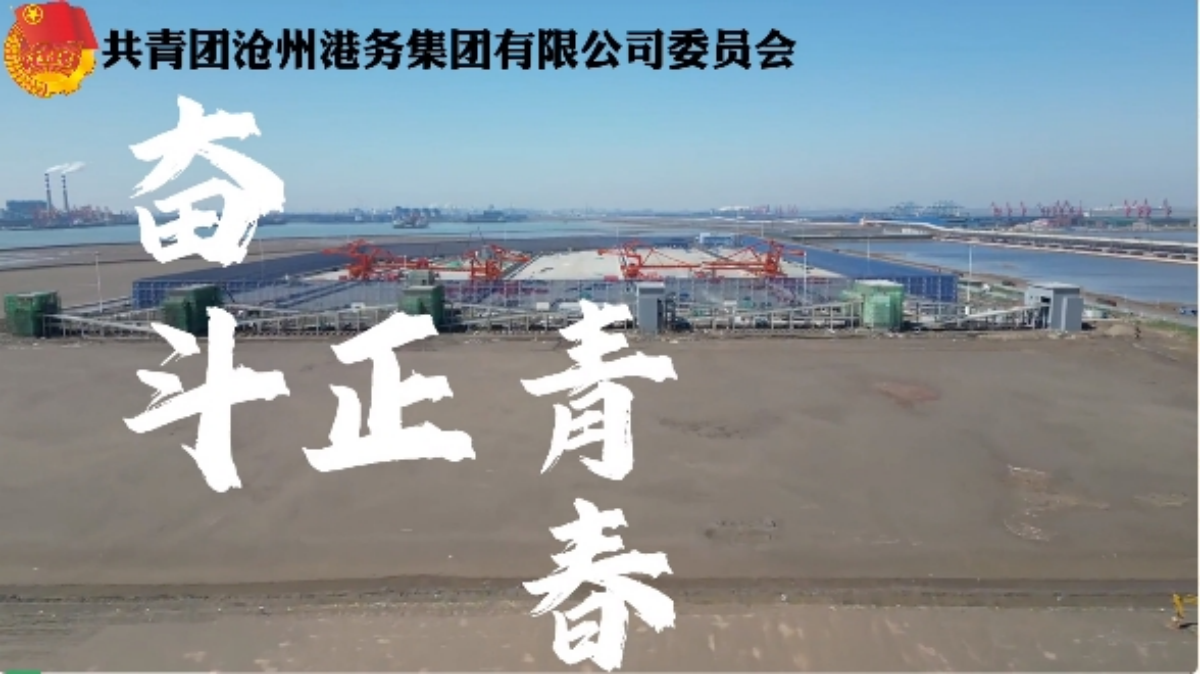 立足岗位做贡献——集团团员青年奉献在港口建设一线（六）