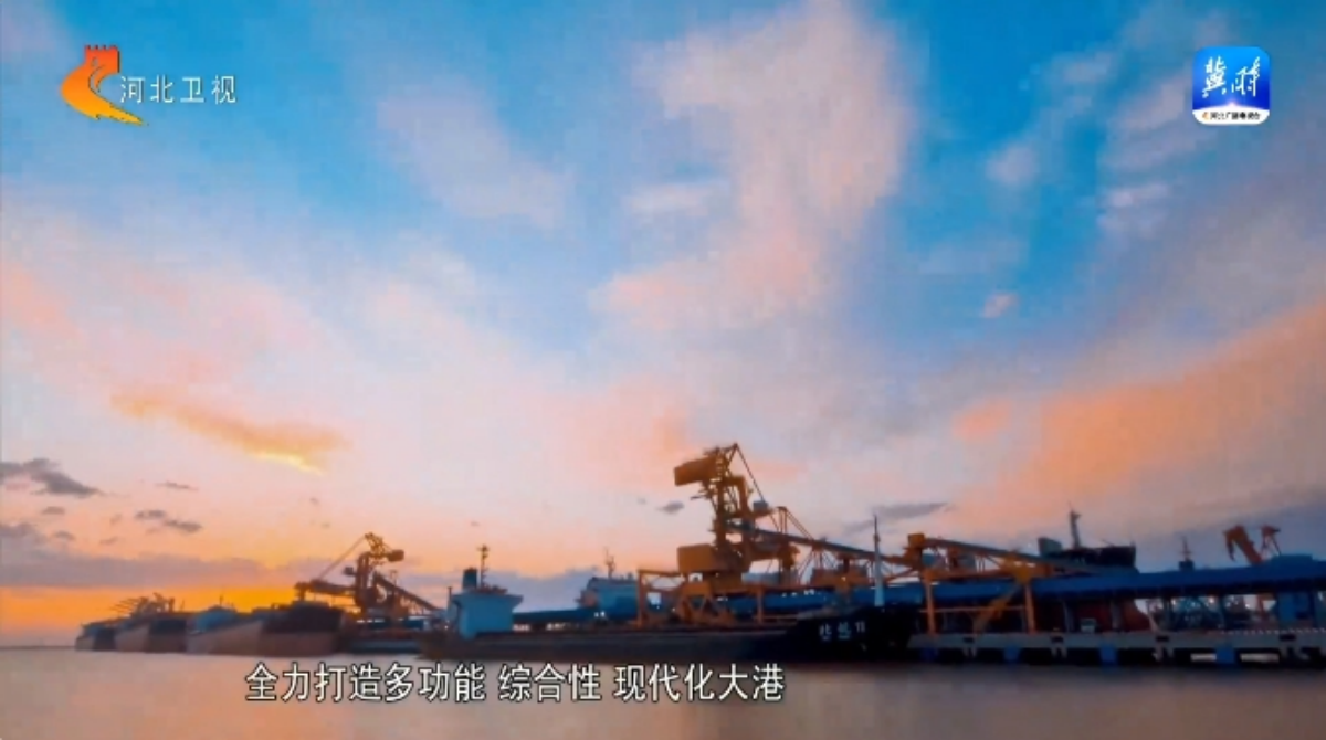 【撸起袖子加油干 风雨无阻向前行】沧州：全力打造多功能综合性现代化大港